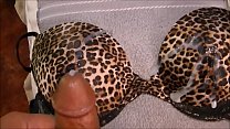 porn дрочу и кончаю в бюстгальтер а печать 36d porn