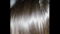 porn vodeo xr21 porn